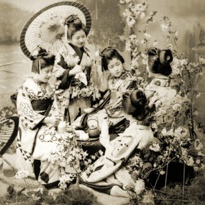 Among the Cherry Blossoms by Japanese Photographer